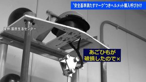 ���ϵ�̳��