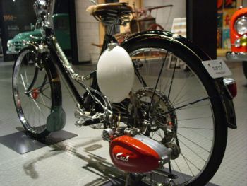 Photo by D.Bellwood,under the GNU Free License. 