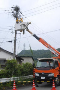 巣を撤去