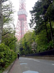 ��ž�ֿ侩�롼��