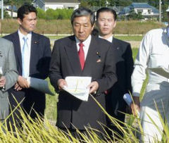農家の戸別補償制度