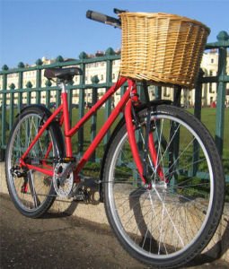 Specialbike
