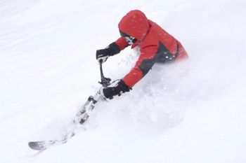 Sno-Go