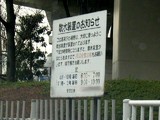 高架下で散水して栽培