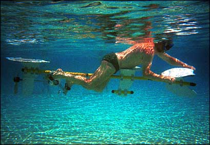 ������������������