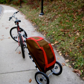 The Urban Shopping Cart