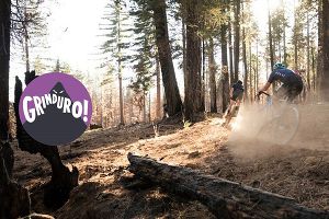 ���饤��ǥ塼��