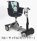 カリフラワー