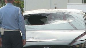 �ġ��롦�ɡ��̳�ƻ