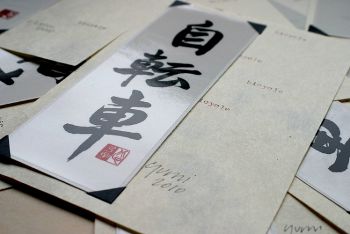 Japanese Bicycle Decal