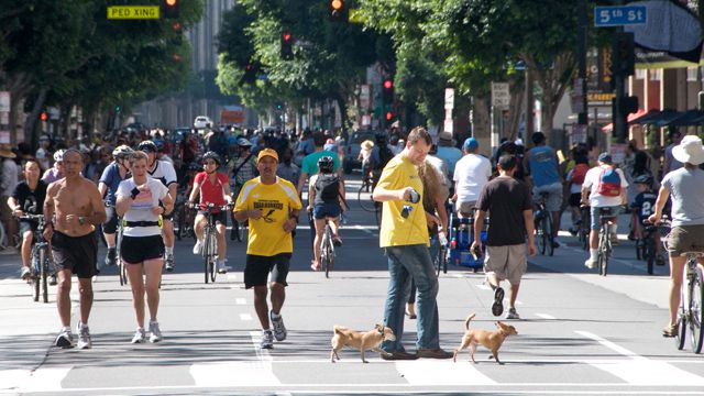 CicLAvia, www.ciclavia.org