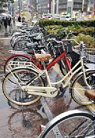 �������ؾ�­��ʤ�