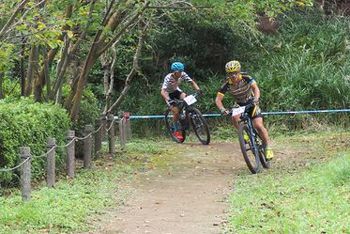 �ͣԣ¥ե������