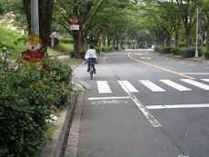 �ޤ��ʤ���ž�ֶ��֥��󥯡���, ��ž��ʸ��������Ť���β�