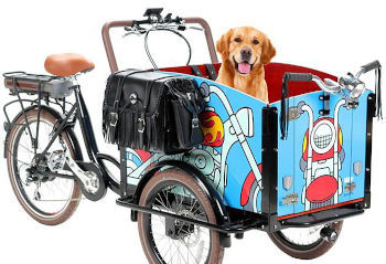 Cargo Bike for Dogs