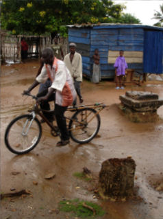 Bamboo Bike Project