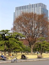 都心の自転車散歩