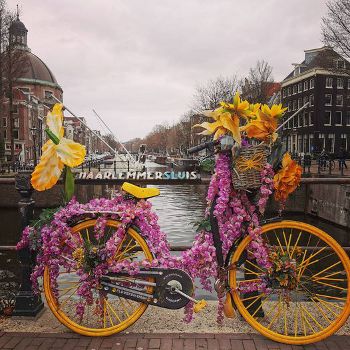 flowerbikeman