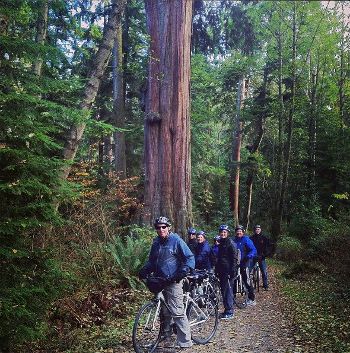 Cycle City Tours Vancouver