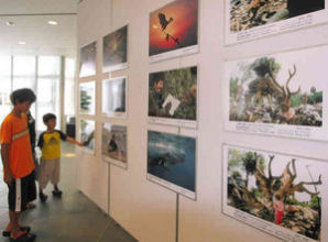 自然、命テーマに写真展