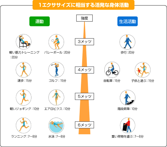 どんな運動がどれだけ必要か サイクルロード 自転車への道