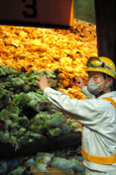 �ƵѤ��ɤ��Ĥ��ʤ�����