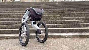 Ascento Pro