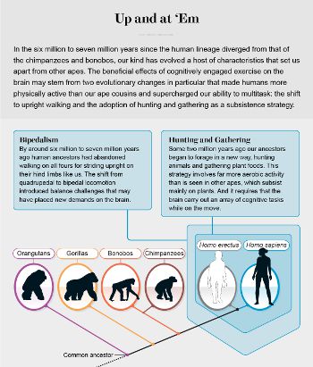 Scientific American