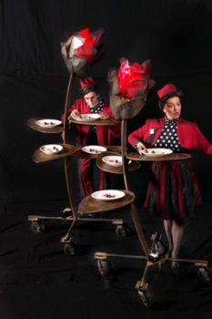 �����������С�