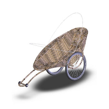 ���ӤϹ���