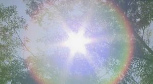 �ߵ�����