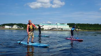 �����ݰ�ģ