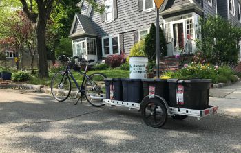 Harvest Cycle