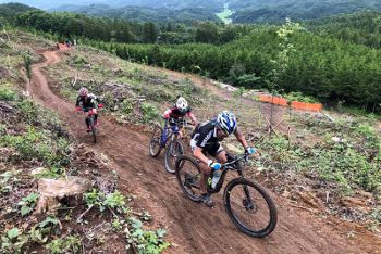 �ͣԣ¥ե������