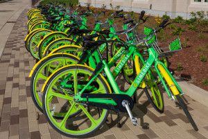 自転車シェア