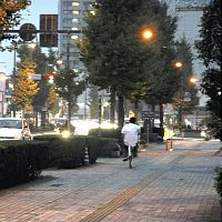 ��ƻ���饬��