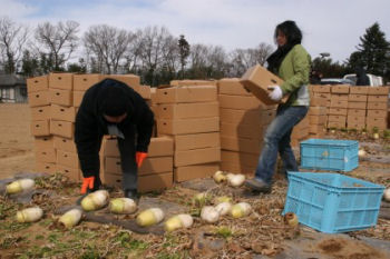 ������ɡ��ϡ��٥��ȡ�����ѥ�