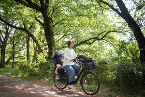 ��ư��������