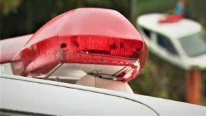 ��ͭΥæʪ����