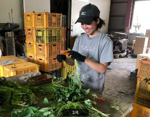 ���ƤĤ���