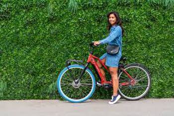 Swapfiets