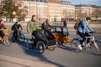 Cargo Bike