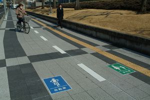 ��ƻ���̹Զ�ʬɸ��