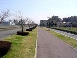 快適な自転車道