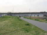 川沿いだけなら便利
