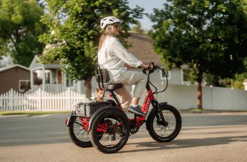 Velotric
