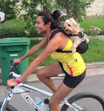 Ruffit Dog Carrier
