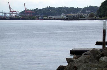 �Ѥ��̤��Ƥ���