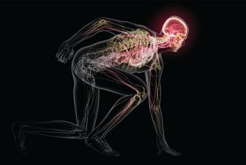Scientific American