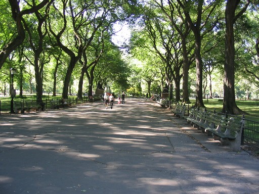 �Ф�¿������